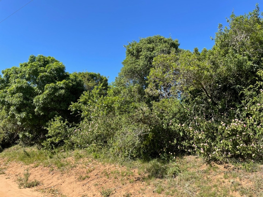 0 Bedroom Property for Sale in Bathurst Eastern Cape
